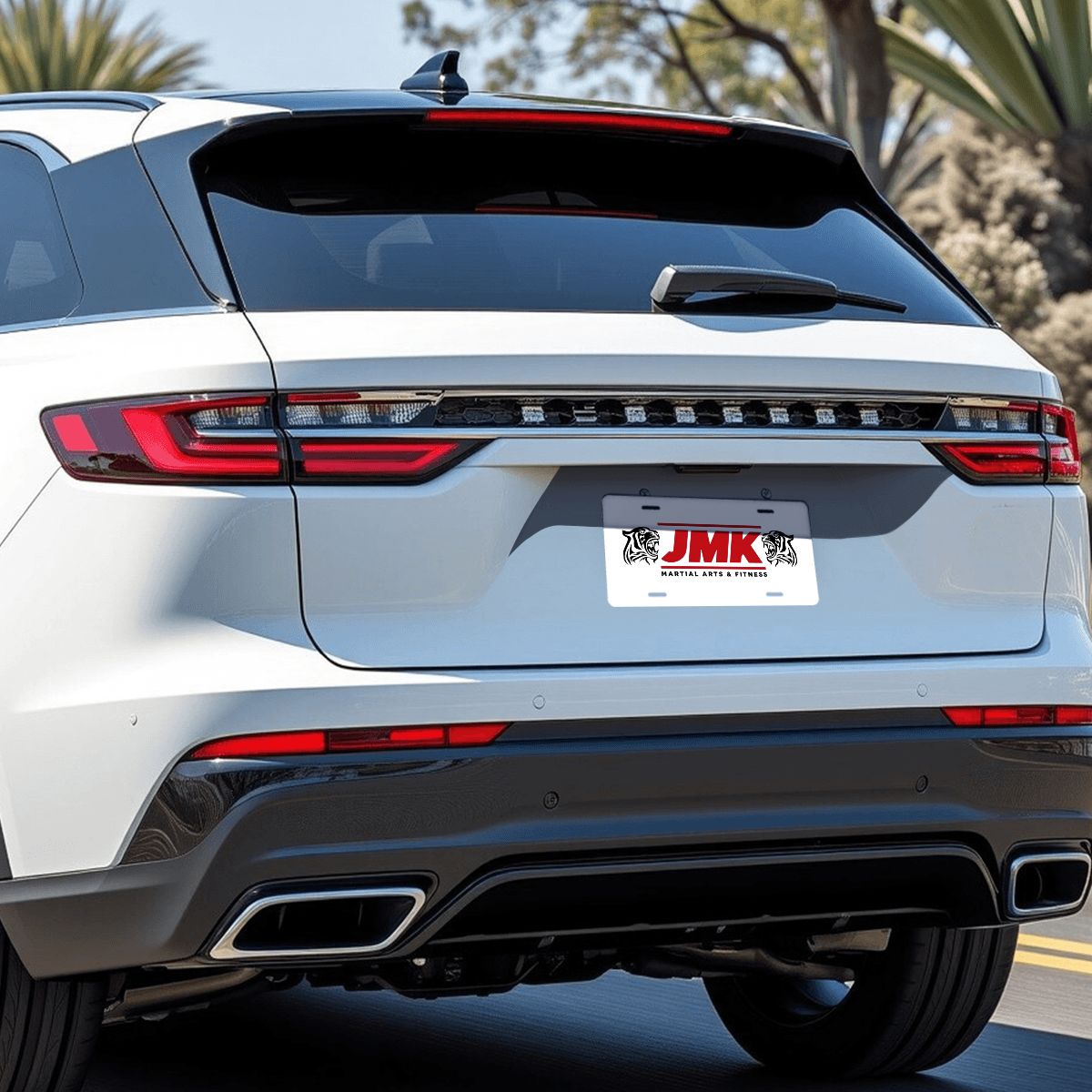Aluminum License Plate (Made in USA)